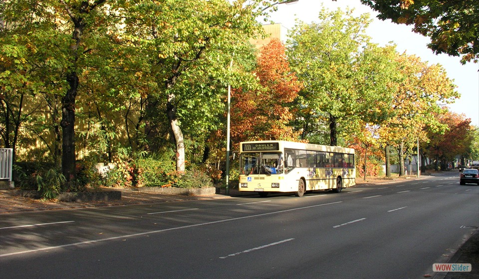 2004-10-17_001 Großbeerenstr