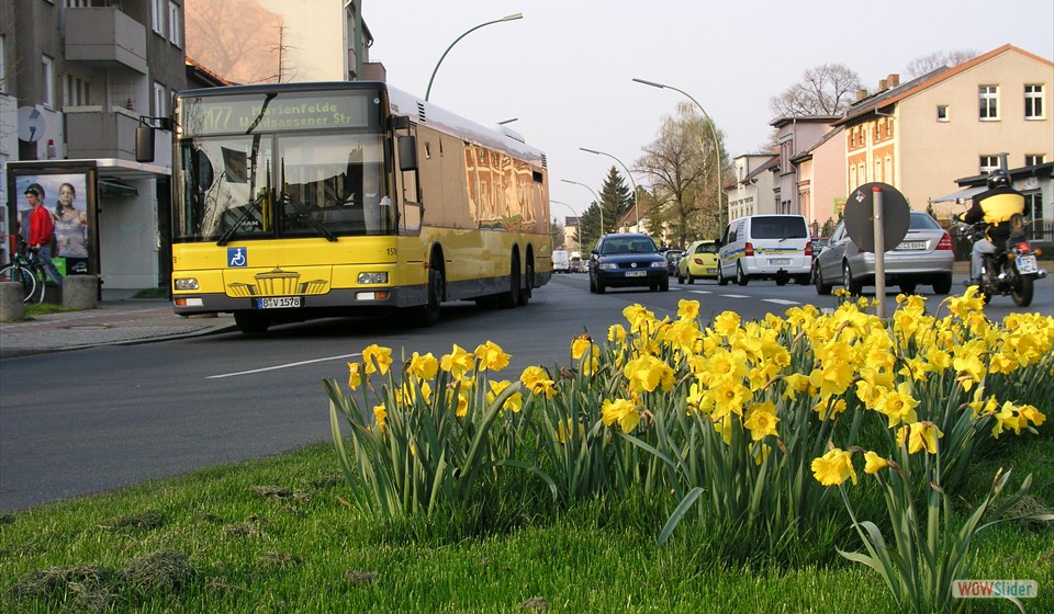 2005-04-15_015 Marienfelder A