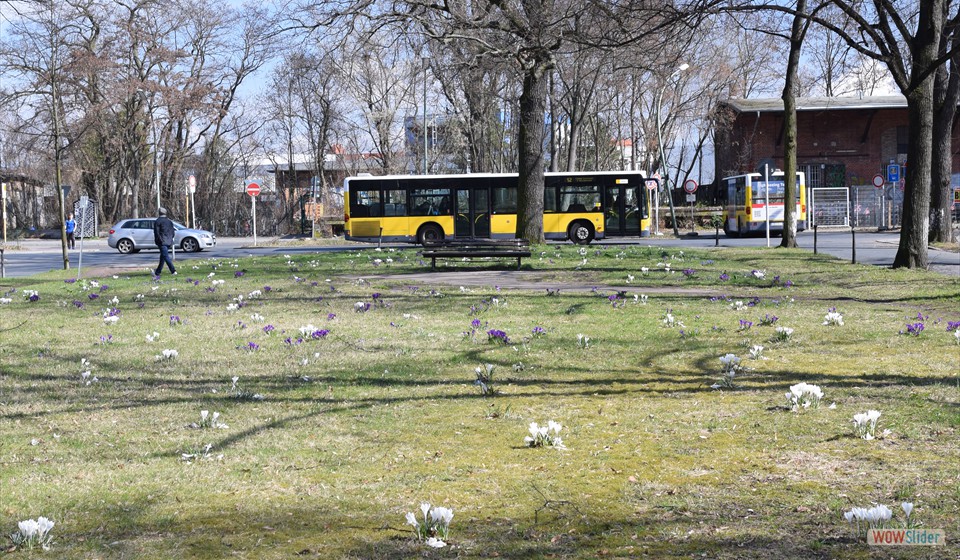 2017-03-26_002 Kiepertplatz