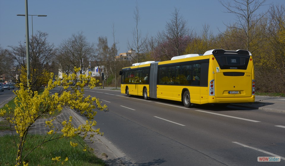 2018-04-10_008 Nahmitzer Damm
