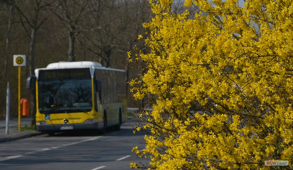 2018-04-10_011 Nahmitzer Damm